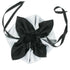 SiaLinda: Pompadour Tasche Argenta weiss-silber  / schwarz, Satin